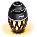Pyle Portable Bluetooth Speaker with Candle Style LED Lamp Night Light - Marine Grade Waterproof and Splash Proof Wireless Stereo Boombox for Apple iPhone, Samsung Galaxy and Other Devices - PLEDFSP18