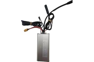 Electric Bicycle Controller