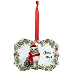 Brown Classic Tabby Norwegian Forest Cat Christmas