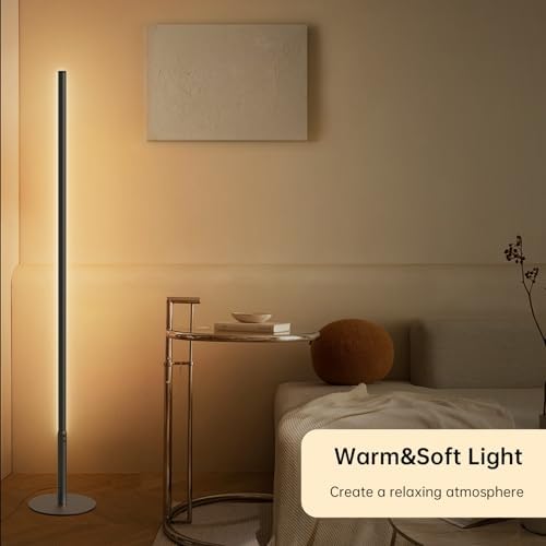 LED Stehlampe Wohnzimmer, Dimmbare Ecklampe mit Fernbedienung, Schwarz