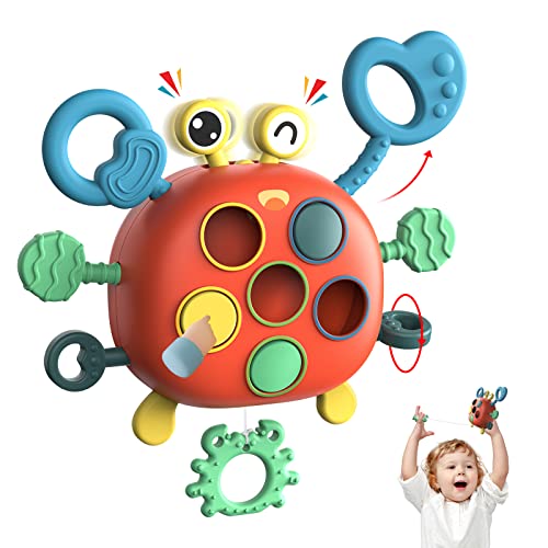 Sensory Montessori Baby Toys 6 to 12 Months, Toddler Travel Toys Food