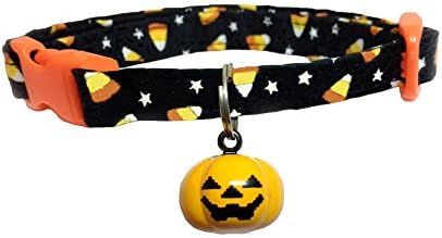 Halloween Cat And Kitten Safety Breakaway Collar With Pumpkin Bell