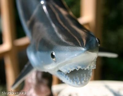 Land & Sea Taxidermy 20" Fiberglass Mako Shark Sculpture Statue