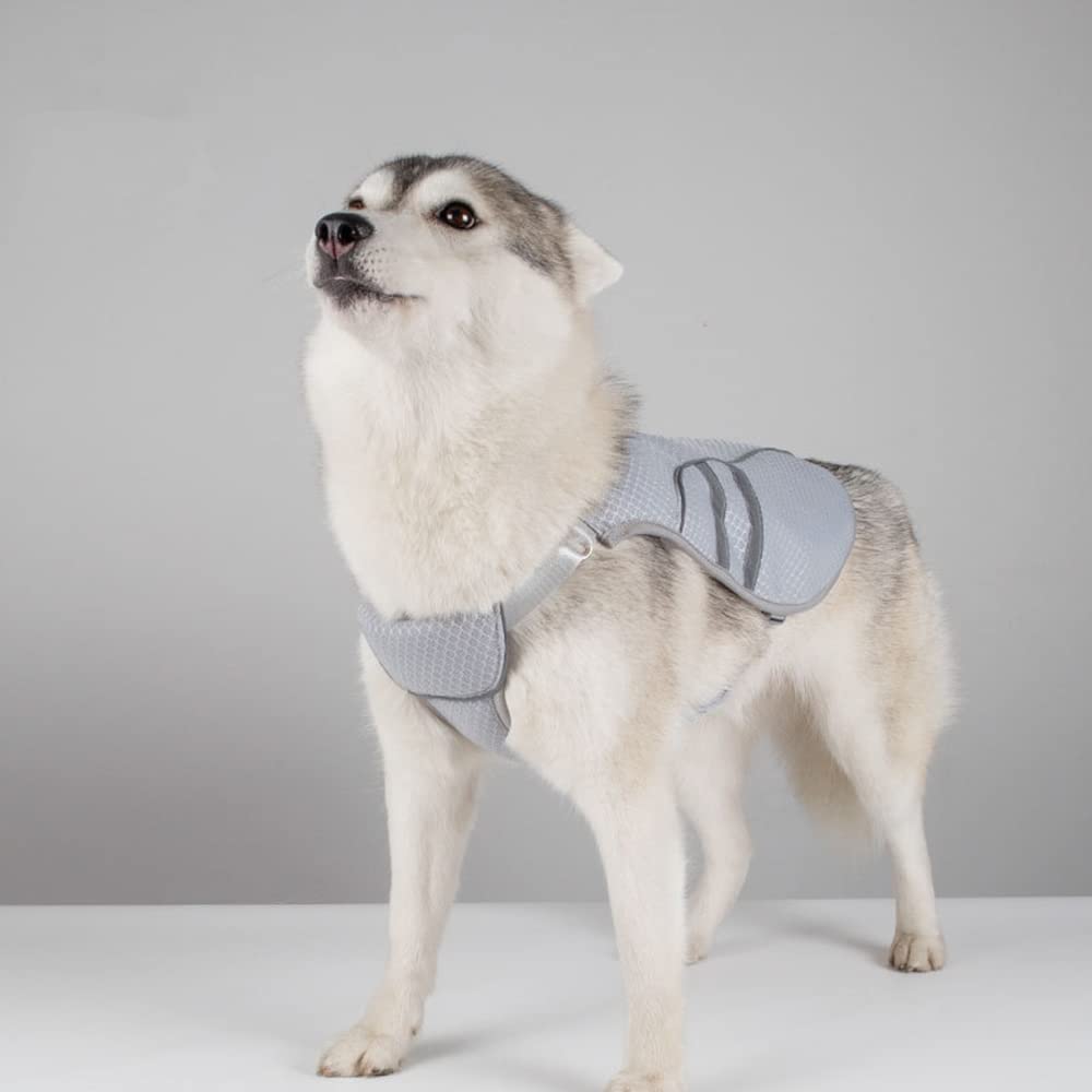 Namvo Cooling Vest for Dogs, Dog Cooling Jacket Cooler Harness Coat Breathable Mesh for Puppies Dogs