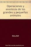 Image de Operaciones y anestesia de los animales grandes y pequeños.