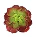 Greatflower Pack of 4 Purplish Red Single Artificial Succulent 4