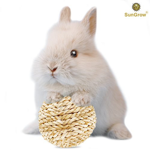 Grass ball for Rabbits --- Chew toy for nudging, nibbling - Toss toy alleviates boredom - Play ball prevents destructive behavior - Edible, Improves Critter Dental Health - Molar & Teeth Grinding ball