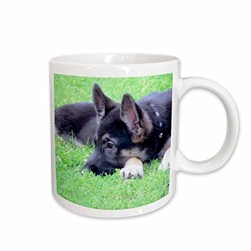 3dRose German Shepherd Puppy 15oz Mug at Amazon