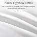 Cosydown Goose Down Alternative Pillows （2 Pack,Queen Soft） 100% Egyptian Cotton with Microfiber Filling Sleep Pillow,Washable