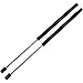 Dayincar Qty (2) Hood Lift Supports Struts Dampers Shocks for 2002 to 2007 Dodge RAM 1500 2500 3500 SG314036, 55276321AB