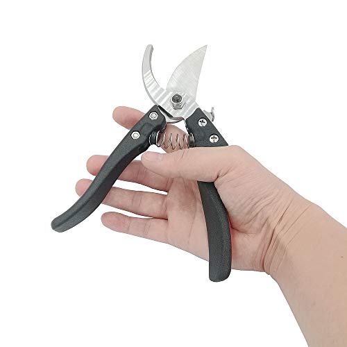 WOYESHENMU 8" Upgraded Pruning Shears £¨Germany 75CR1 Steel£, Professional Pruning Scissors for Garden, Sharp and Durable Bypass Pruner/Hand Pruners, Aluminum Alloy Handle Secateurs (Red) - Thumbnail 5