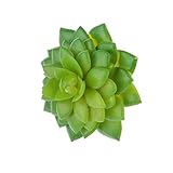 MagiDeal Artificial Succulent Real Touch Alocasia Flower Foliage Plant Decor Green