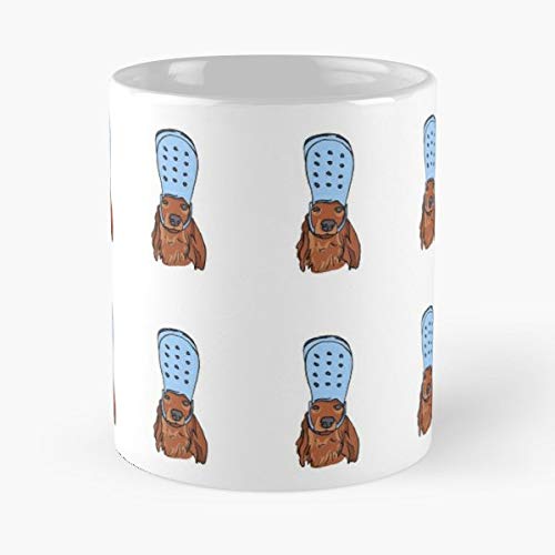 crocs for small dogs