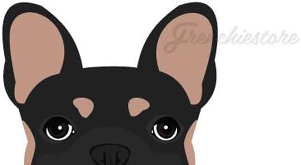 Frenchiestore Frenchie Sticker Black & Tan French Bulldog Car Decal (Frenchie Sticker Black & Tan French Bulldog Car Decal)