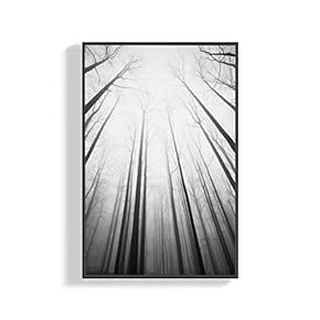 Canvas Wall Art for Living Room, Bedroom Plants Framed Canvas Prints for Home Decoration Ready to Hang - 16x24 inches