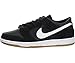 NIKE Men's SB Zoom Dunk Low Pro Skate Shoe