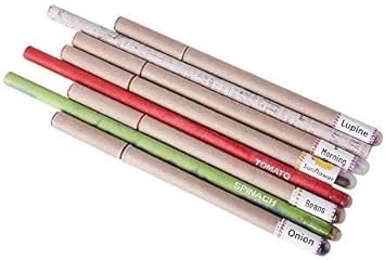 eco friendly kids party favors