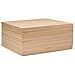 Baltic Birch Plywood, 3 mm 1/8 x 10 x 10 Inch Craft Wood, Box of 45 B/BB Grade Baltic Birch Sheets, Perfect for Laser, CNC Cutting and Wood Burning, by Woodpeckers