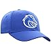 Top of the World Premium Collection One-Fit Memory Fit Team Color Icon Hat
