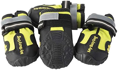 my busy dog water resistant dog shoes