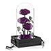 Preserved Real Rose Handmade Eternal Rose in Glass Doom Gifts for Her Valentine's Day Mother's Day Anniversary Birthday (3 Purple Rose)