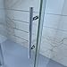 DreamLine Enigma-X 44-48 in. W x 76 in. H Clear Sliding Shower Door in Polished Stainless Steel