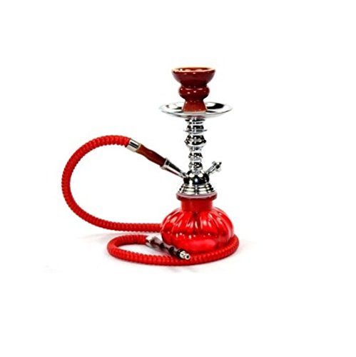 Zebra smoke mini 10" 1 hose hookah shisha with pum…