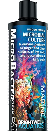 Brightwell Aquatics MicroBacter Clean Marine Aquarium Cleaner Aid, 250 ml