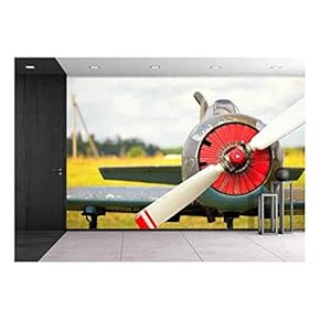 View on Propeller on Old Russian Airplane on Green Grass - Removable Wall Mural | Self-Adhesive Large Wallpaper - 66x96 inches