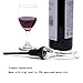 Baen Sendi Wine Aerator Pourer - Aerating Wine Pourer - Premium Wine Decanter