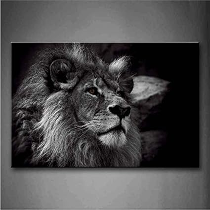 Djkaa Noir Et Blanc Gris Tete De Lion Portrait Mur Art Peinture Images Imprimer Sur Toile Animal La Photo Pour La Maison Decoration Moderne Avec Cadre Amazon Fr Bricolage