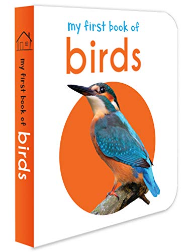 My First Book of Birds: First Board Book (My First Books)