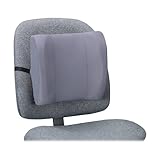Fellowes Standard Backrest, Graphite (91926)