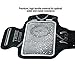 TRIBE Running Phone Holder Armband. iPhone & Galaxy Cell Phone Sports Arm Bands for Women, Men, Runners, Jogging, Walking, Exercise & Gym Workout. Premium Japanese Lycra. Strap Extension & Key Pocket.