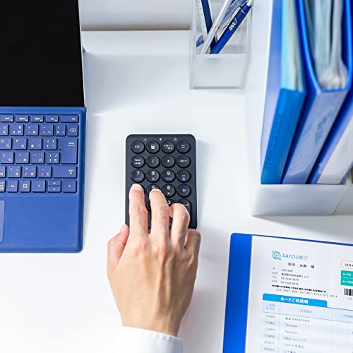 SANWA Bluetooth Numeric Keypad, Rechargeable Wireless Ten Key Number