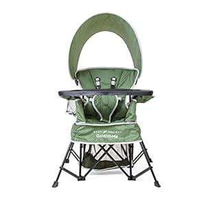 Baby Delight Go with Me Venture Deluxe Portable Chair | Moss Bud, 1 Count (Pack of 1), Green