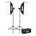 Fovitec StudioPRO 400 Watt Monolight Strobe Flash Photography Lighting Kit for Wedding, Food Blogging, Portrait, Product Photo - (2) 200W/s Flash Head with Light Stands & 20
