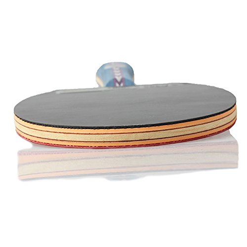 DHS Table Tennis Racket Ping Pong Paddle Hurricane No.2 (Long-handle) Double Pimples-in Bats Shake-hands Grip