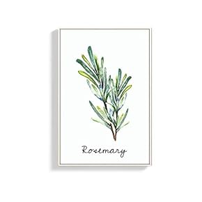 Framed Canvas Wall Art for Living Room, Bedroom Rosemary Canvas Prints for Home Decoration Ready to Hang - 16x24 inches