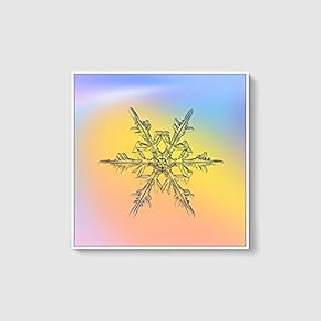 Framed Canvas Wall Art for Living Room, Bedroom Snowflake Theme Canvas Prints for Home Decoration Ready to Hang - 16x16 inches