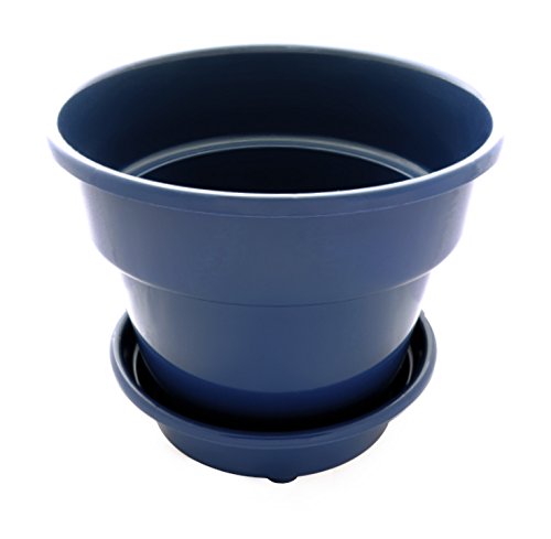 Large 10" Self Watering + Aerating + High Drainage Deep Reservoir Round Planter Pot Minimizes Root Rot & Soil Fungus in Herb, Succulent, for Indoor & Outdoor & Window Gardens (10 inch, Blue)