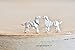 Origami Dog Earrings in Sterling Silver 925 - Jamber Jewels