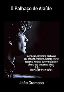 Livro O Palhaço De Alaíde