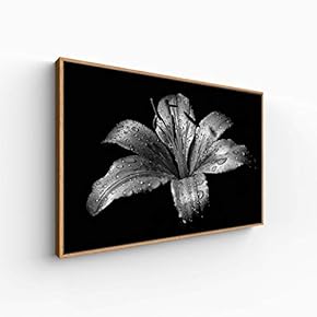 Canvas Wall Art for Living Room, Bedroom Monochrome Plants Framed Canvas Prints for Home Decoration Ready to Hang - 16x24 inches