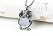 JML Axmerdal Grey Ruiting Fashion Women's Owl Crystal Jewelry Pendant Silver Chain Long Necklace Sweater Chain