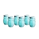 Klikel Decorative Blue Colored Owl Vintage Jelly Jam Jars Canisters - Glass Containers - Drinking Glass With Blue Gingham Lids - Set of 6