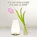 Morpilot Bluetooth Smart Cordless Vase lamp LED Night Light,Indoor/Outdoor Light-Portable Moving Table Lamp for Kids Room,Hallway(Round Shape)