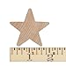 2” Wood Star, Natural Unfinished Wooden Star Cutout Shape (2 Inch) - Bag of 25