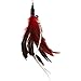 The Giddy Kitty 5 Pack Assorted Cat Feather Toy with Small Bells and Extra Long 33 Inch Wand- Interactive Teaser for Exercising Kitten or Cat
