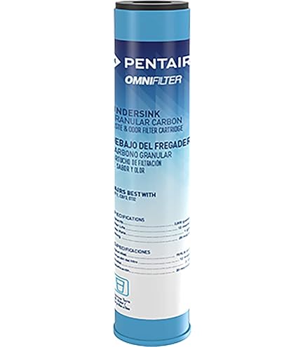 Amazon.com: Pentair OMNIFilter CB3 Carbon Water Filter, 10
